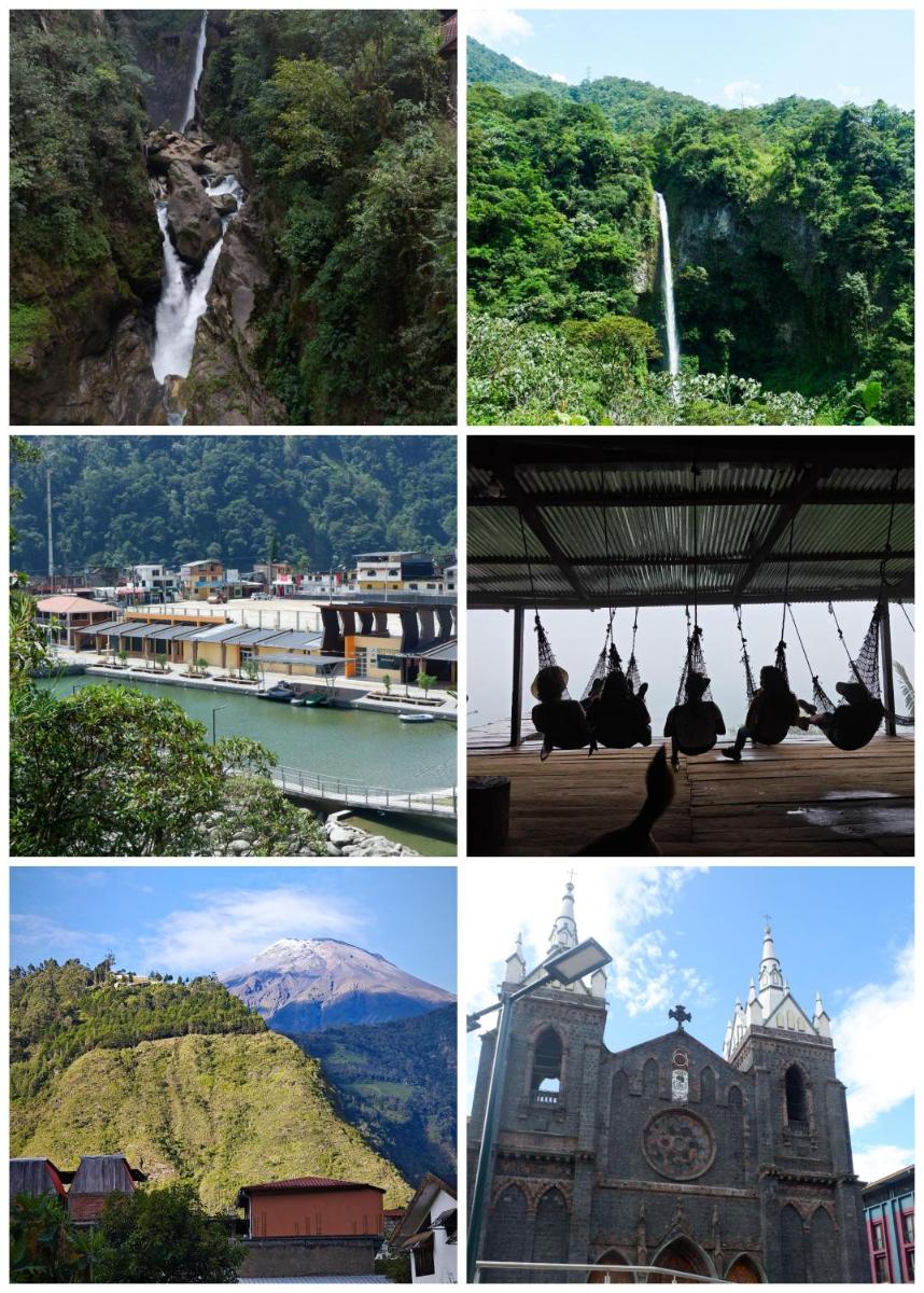 Garden House Hostal - Housity