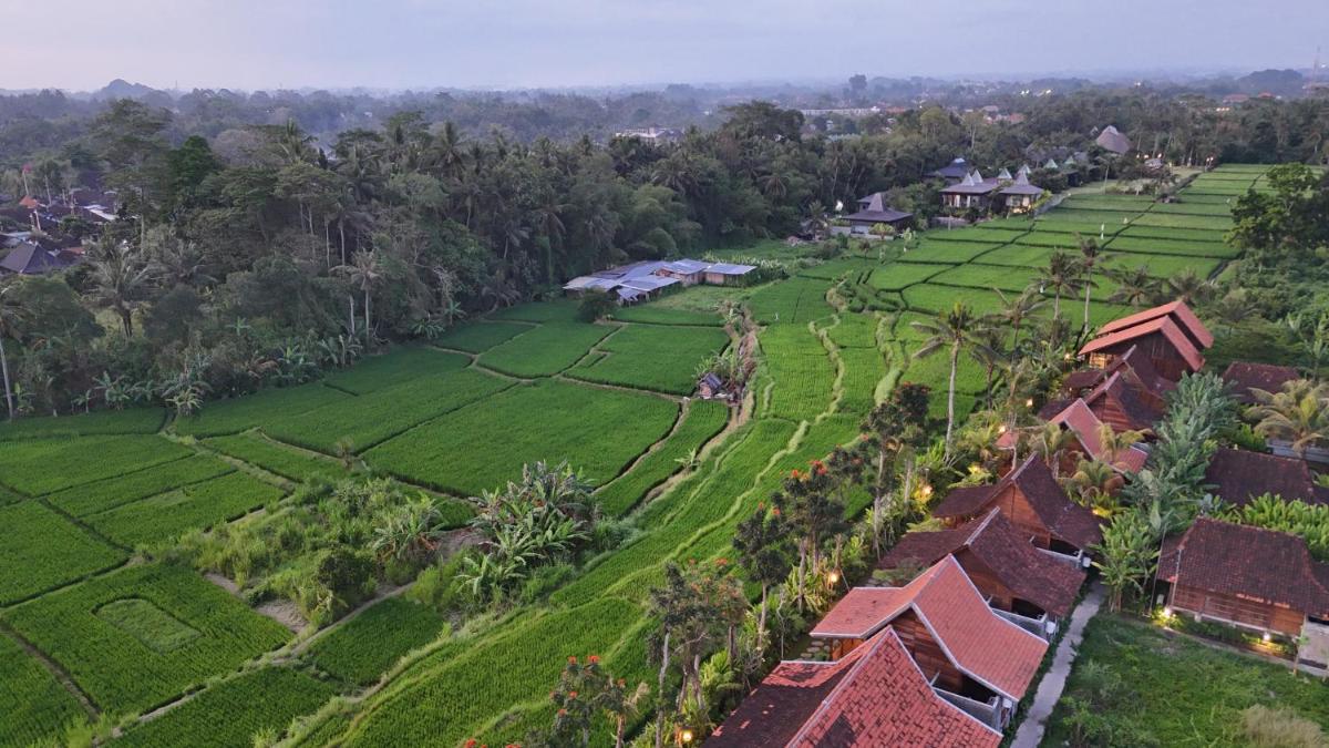 Ubud Art Resort - Housity