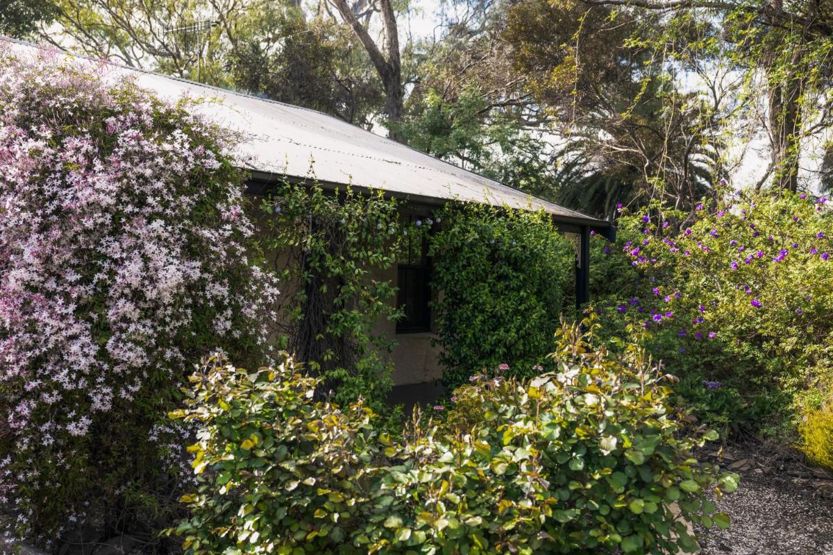 Jasmine's Barossa Valley Cottage - Housity