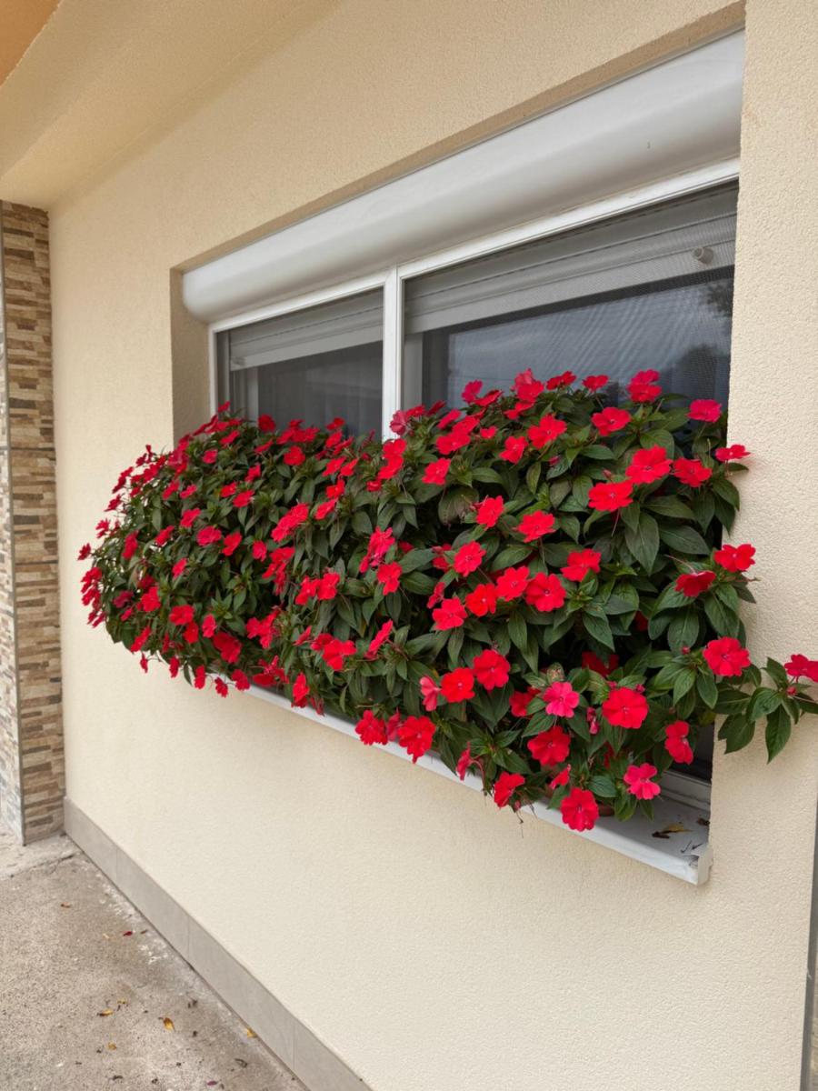 Pansion Speranza Međugorje - Housity