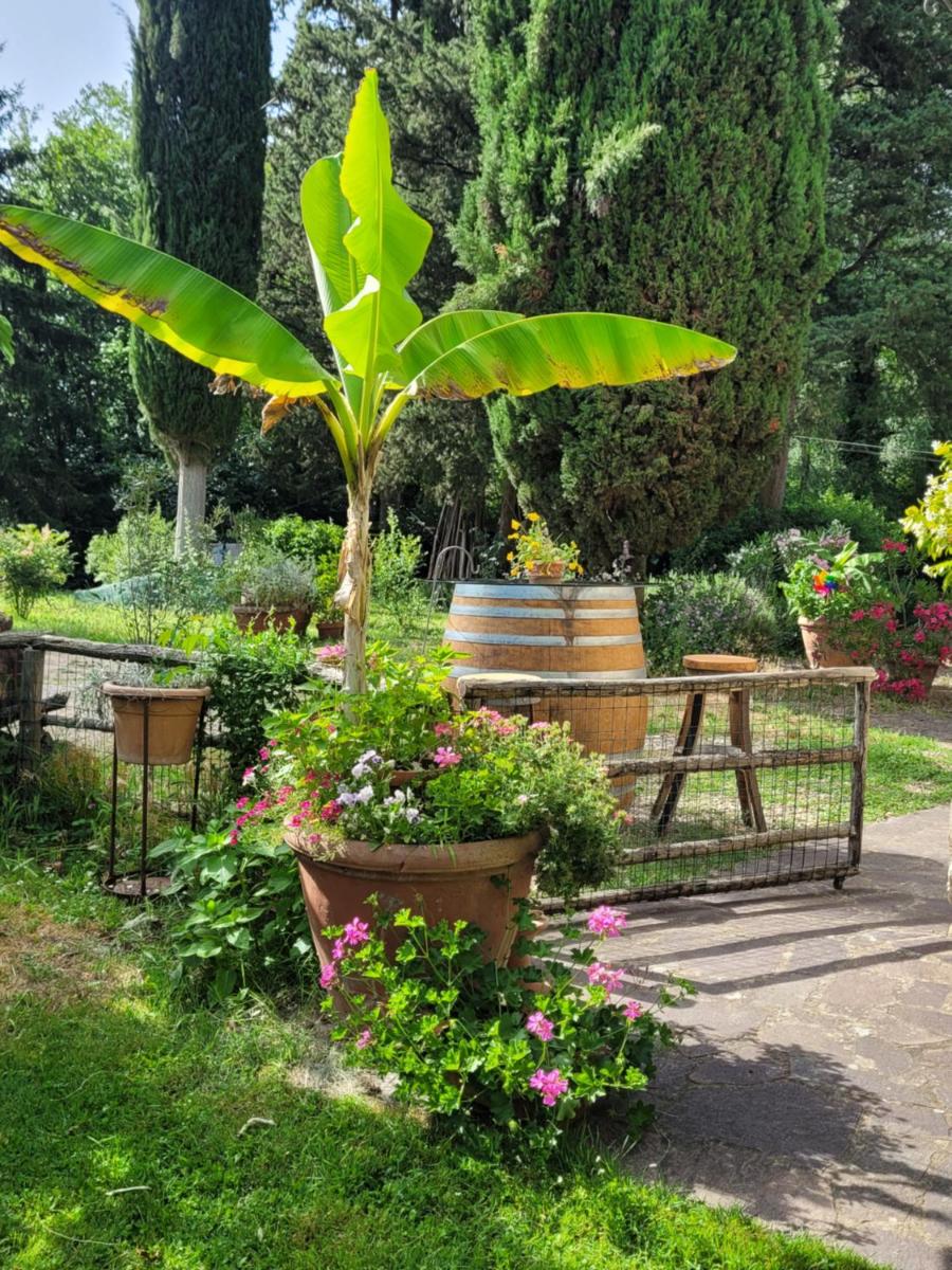 La Casa nel Chianti - Housity