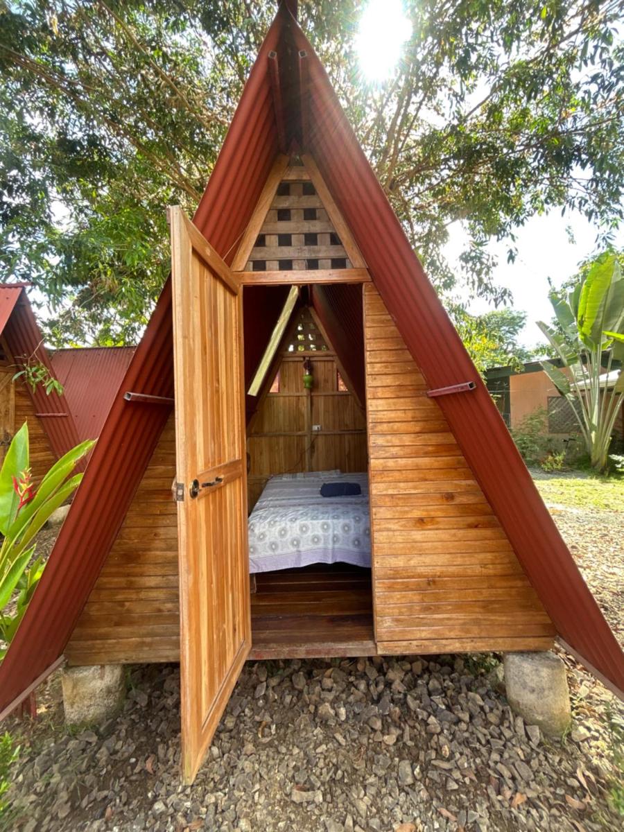 Ballena Oasis Homes & Glamping - Housity