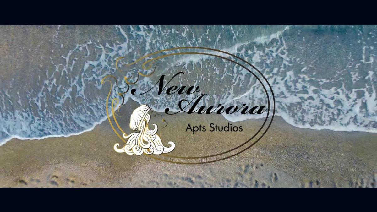 New Aurora Apts Studios - Housity