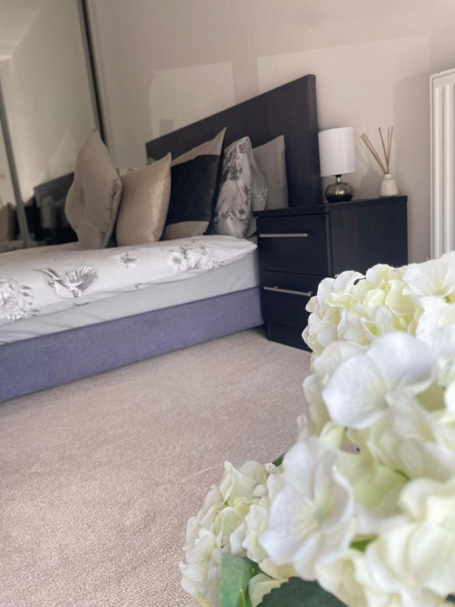 Brand new luxury apartment with free parking and gym - Housity