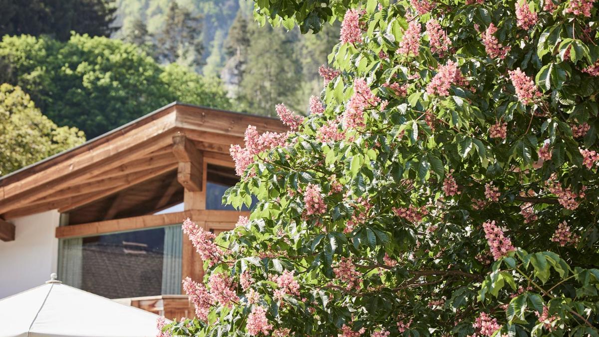 Der Brandstetterhof - Adults only - Housity