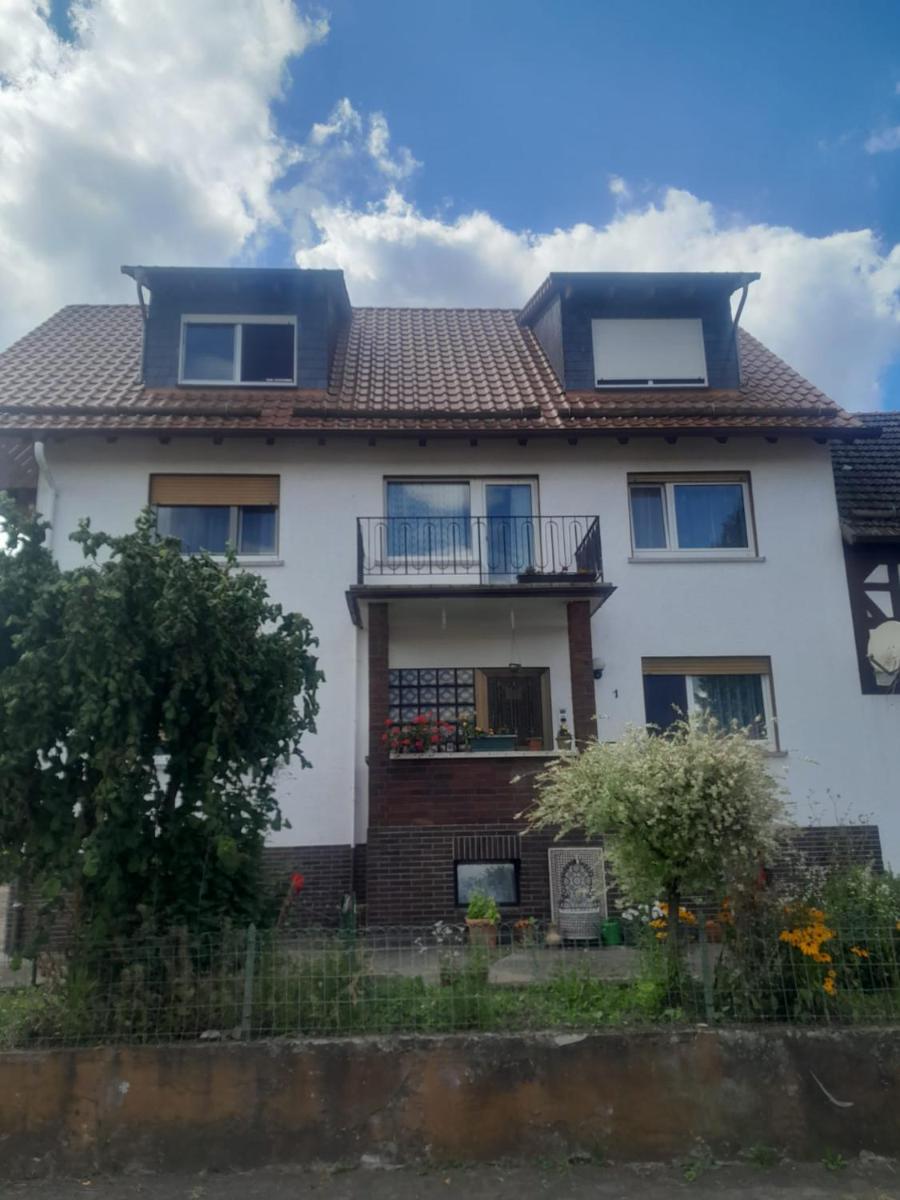 ZiniMiri - Hizvo