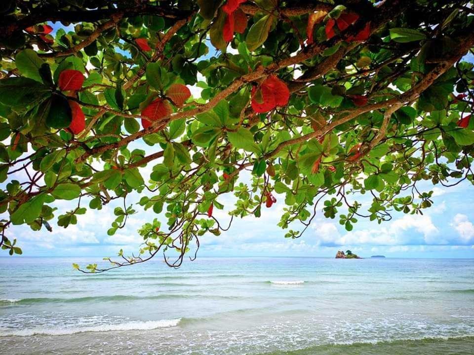 ทีพักติดหาดแหลมแม่พิมพ์Mantra Condo Rayong - Housity