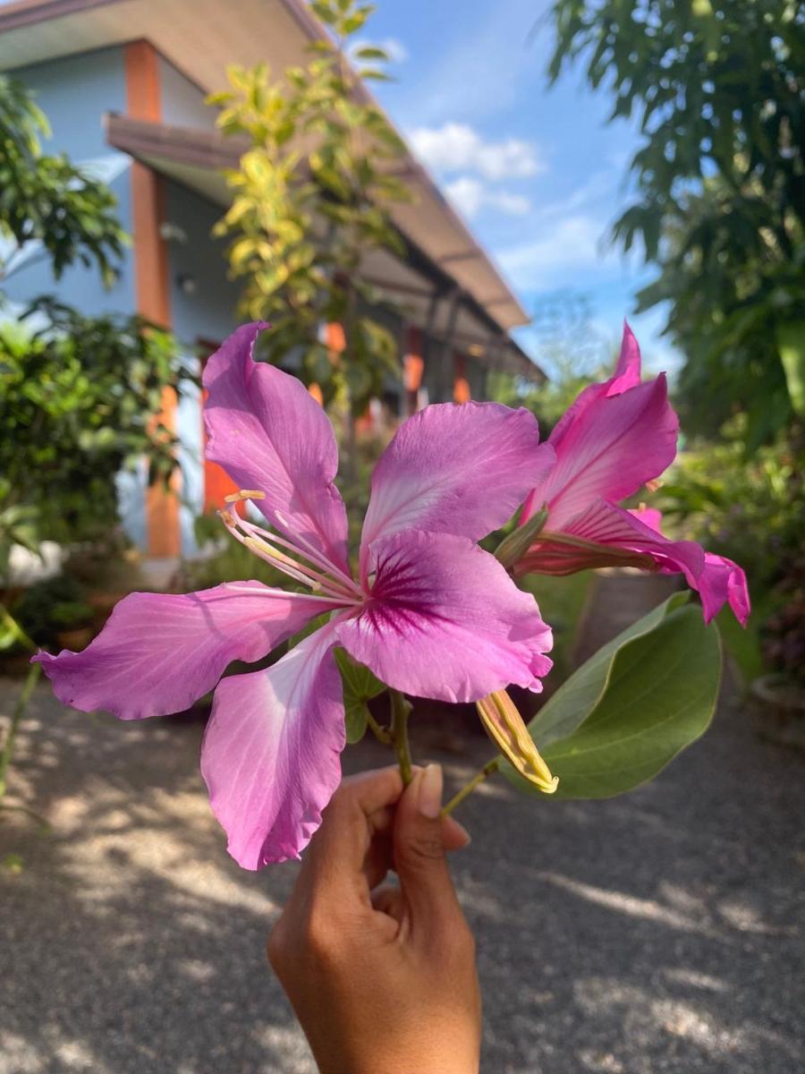 Villafarmsuk@khanom - Housity