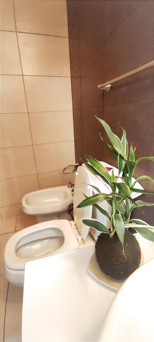 Amanecer apartamentos - Housity