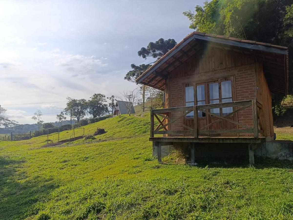 Solar dos Pinhais - Housity