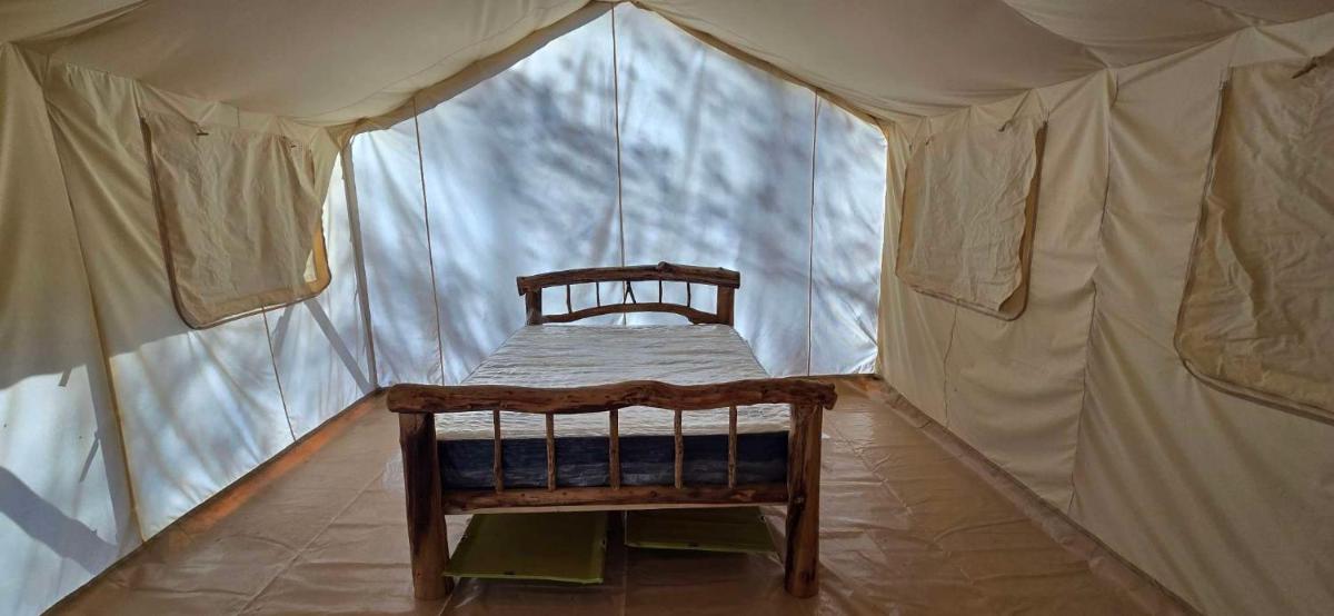 Charming enclave Luxury tent in the woods Tent 3 Bambi's playground - Housity