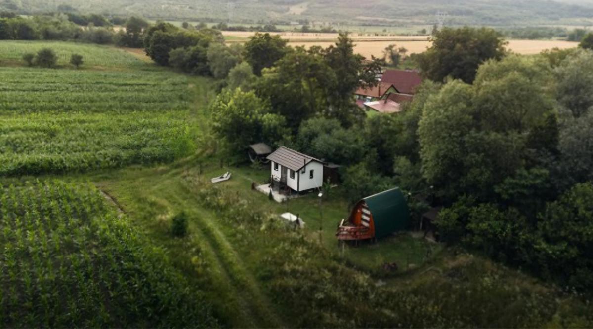 Căsuța Sara- the story of nature - Housity