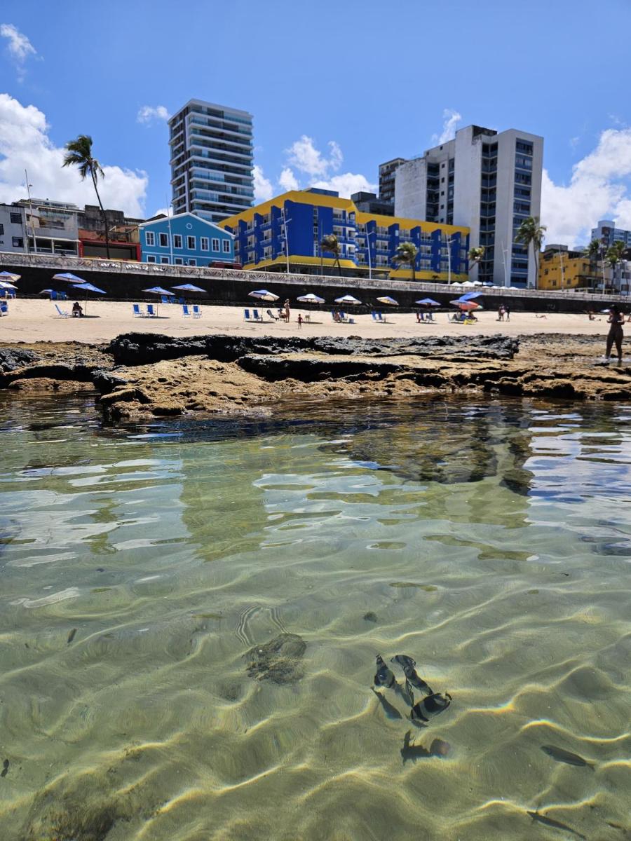 Flat no Farol da Barra 129 - Housity