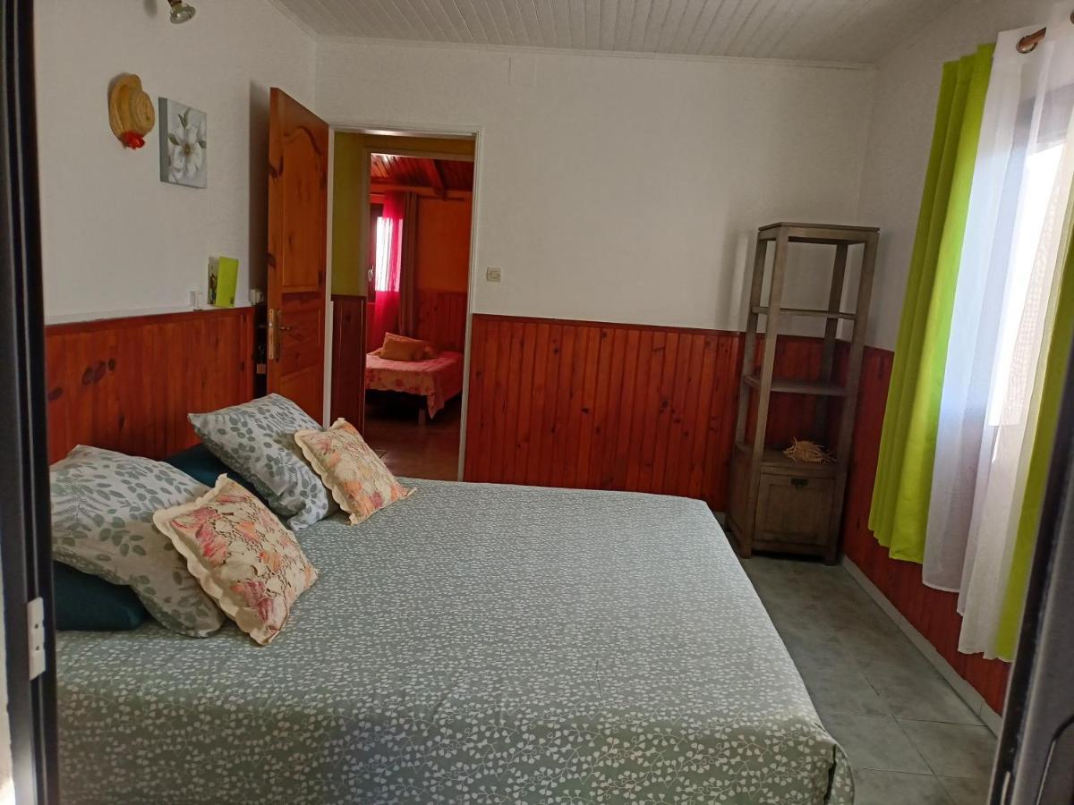 Petite fleur de lentilles - Housity