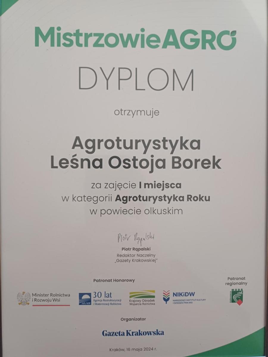 Agroturystyka Leśna Ostoja Borek - Housity