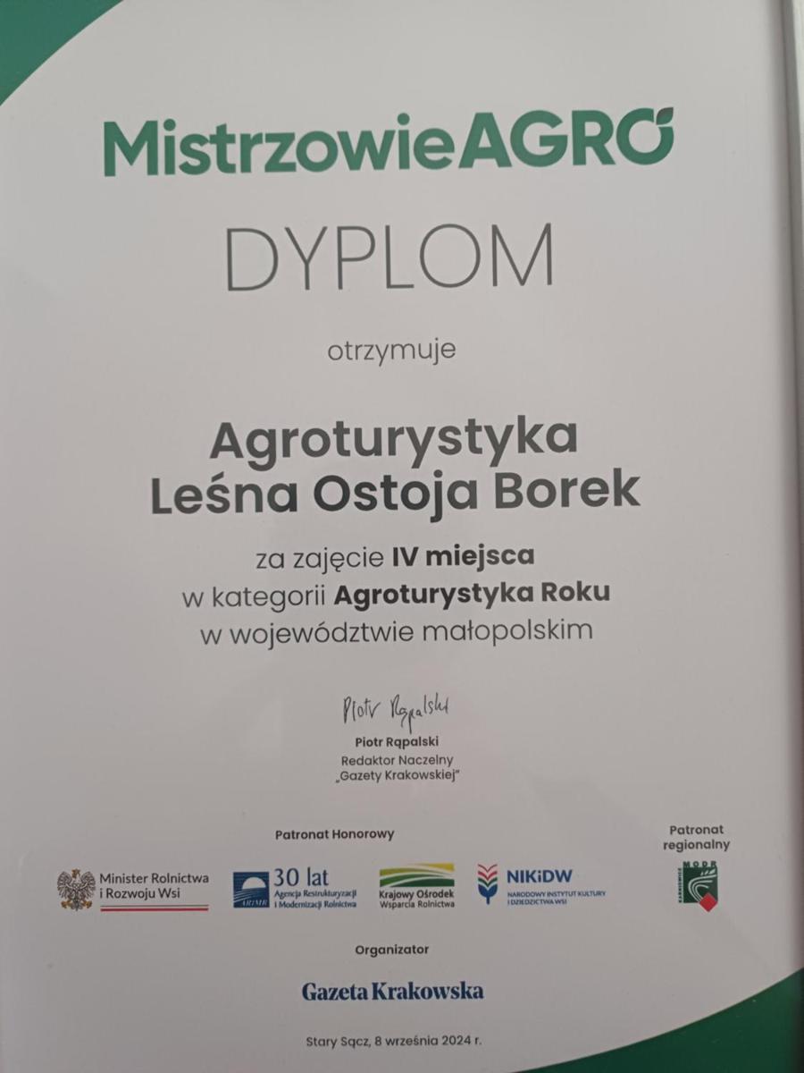 Agroturystyka Leśna Ostoja Borek - Housity