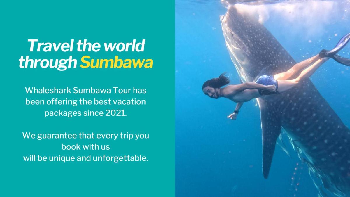 Whale shark Sumbawa Tour - Housity