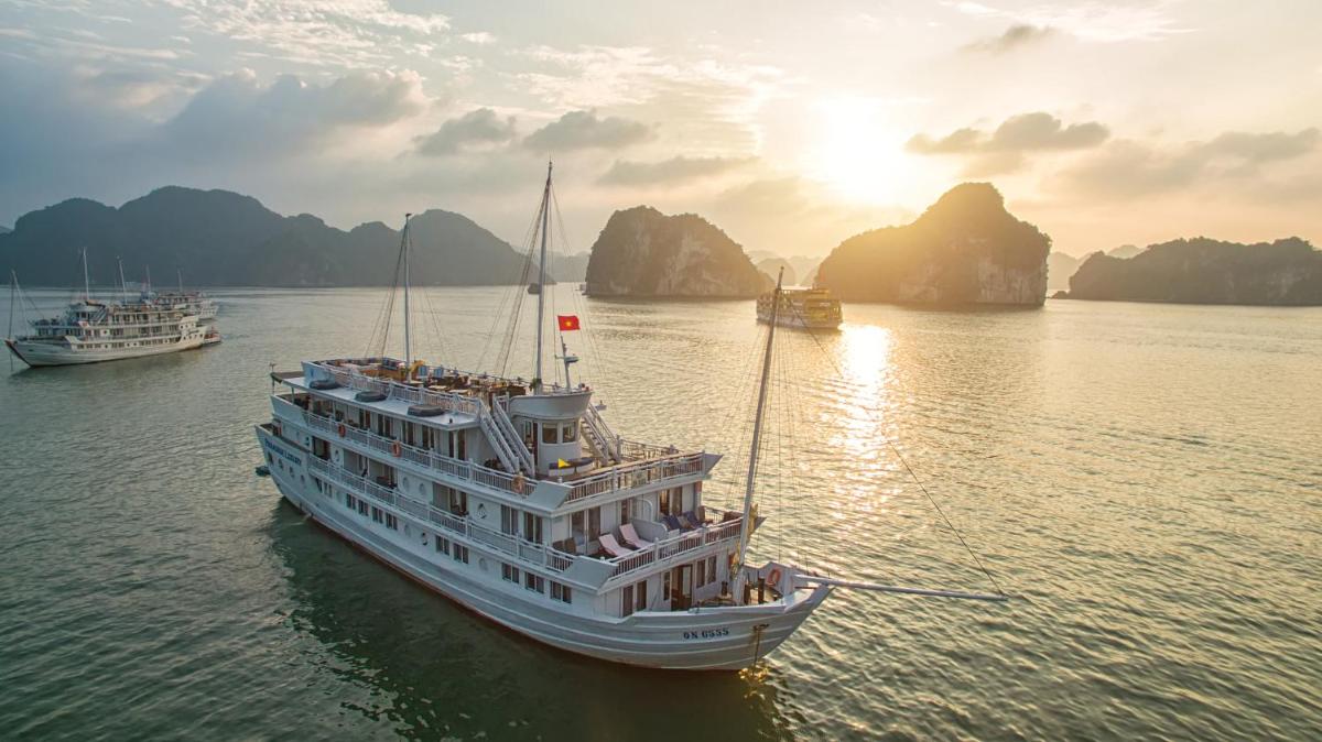Paradise Sails Cruise - Housity