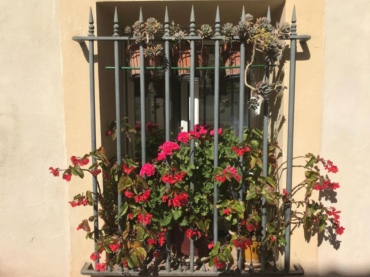 Chambre Abri Urbain - Housity