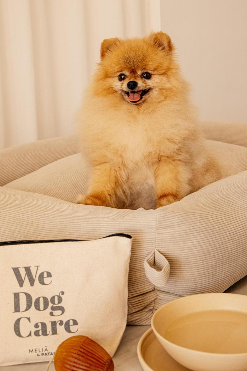 Mascotas con sus dueños en Villa Le Blanc, a Gran Meliá Hotel - The Leading Hotels of The World