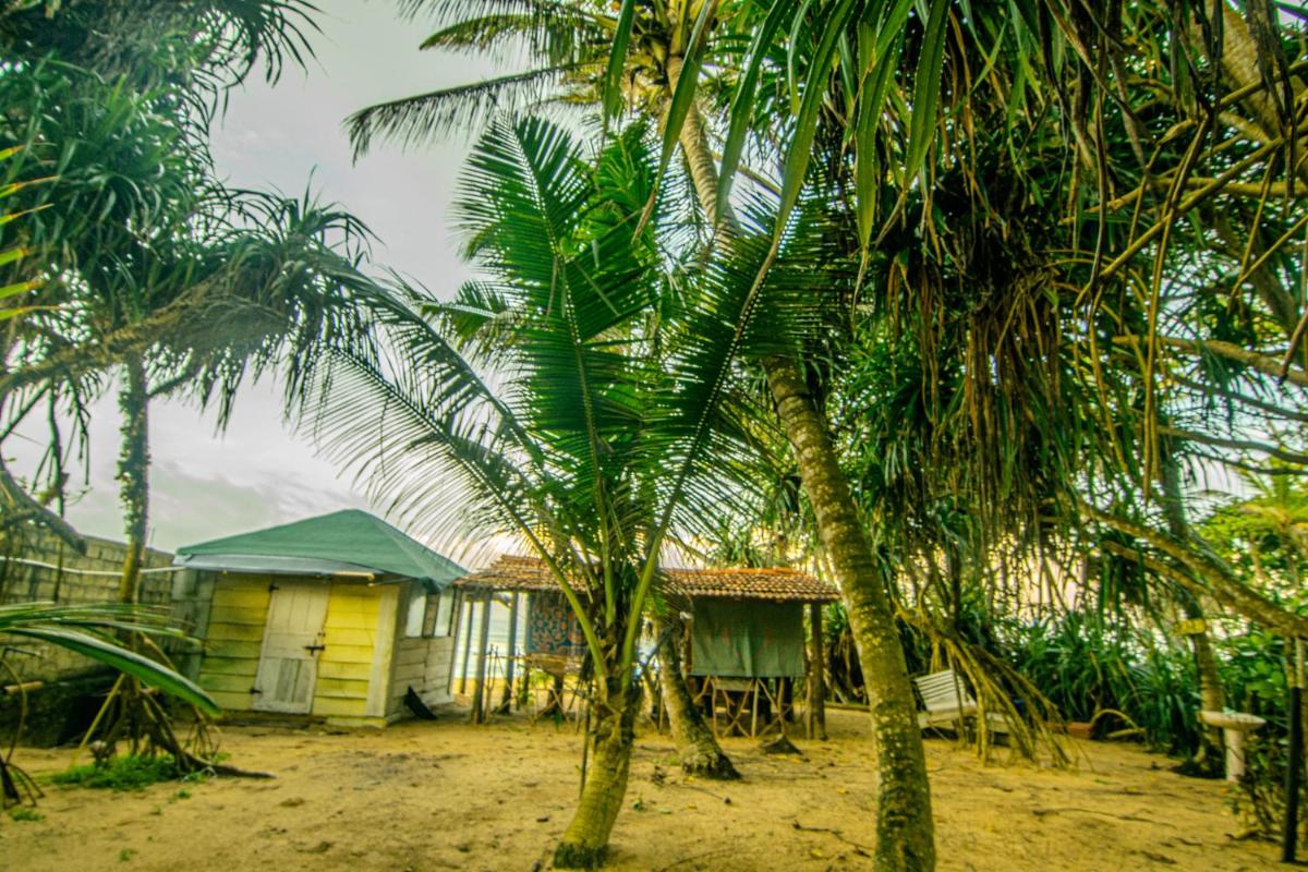 Hikkaduwa backyard beach homestay - Housity