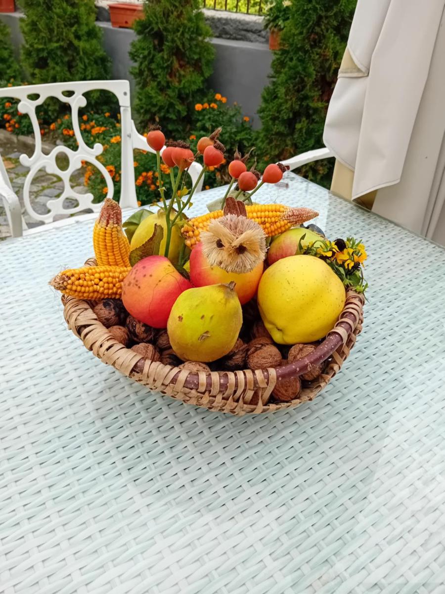 Casa Continentelor - Housity