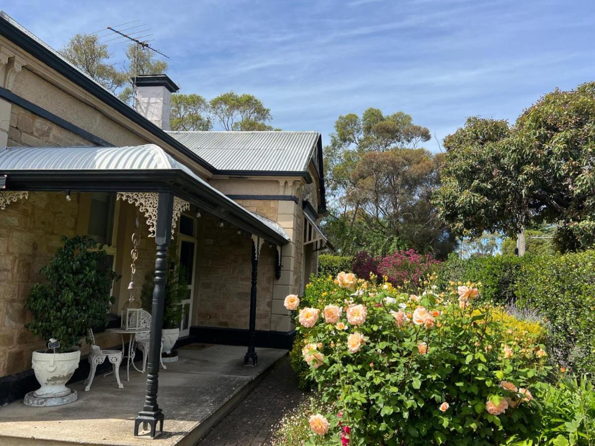 Azalea Cedar-Rose Barossa Valley Villa - Housity