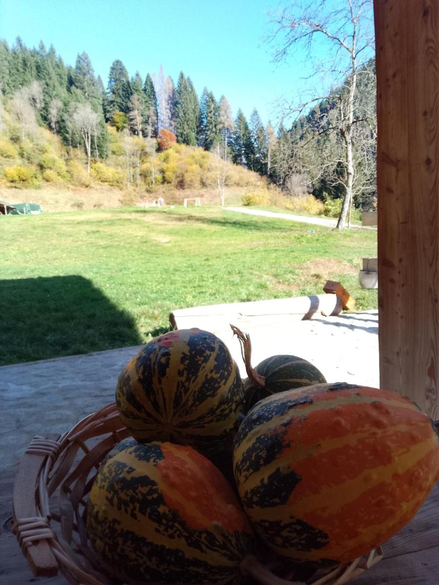 B&B Maso Ghirola - Housity