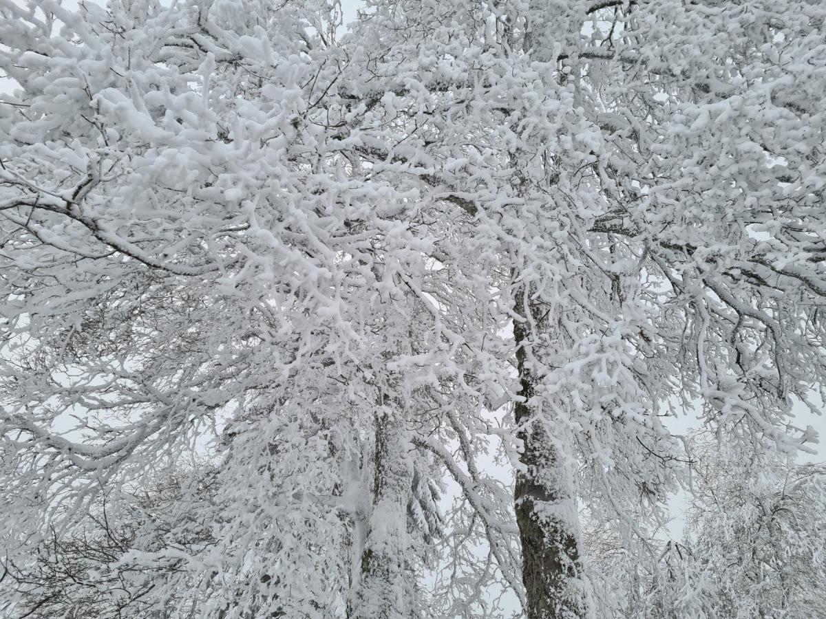 BergButzen mit Balkon - Housity