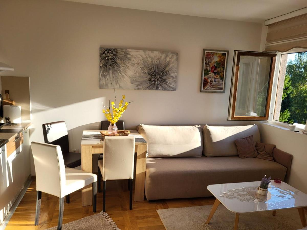 Apartman Stašenka - Housity