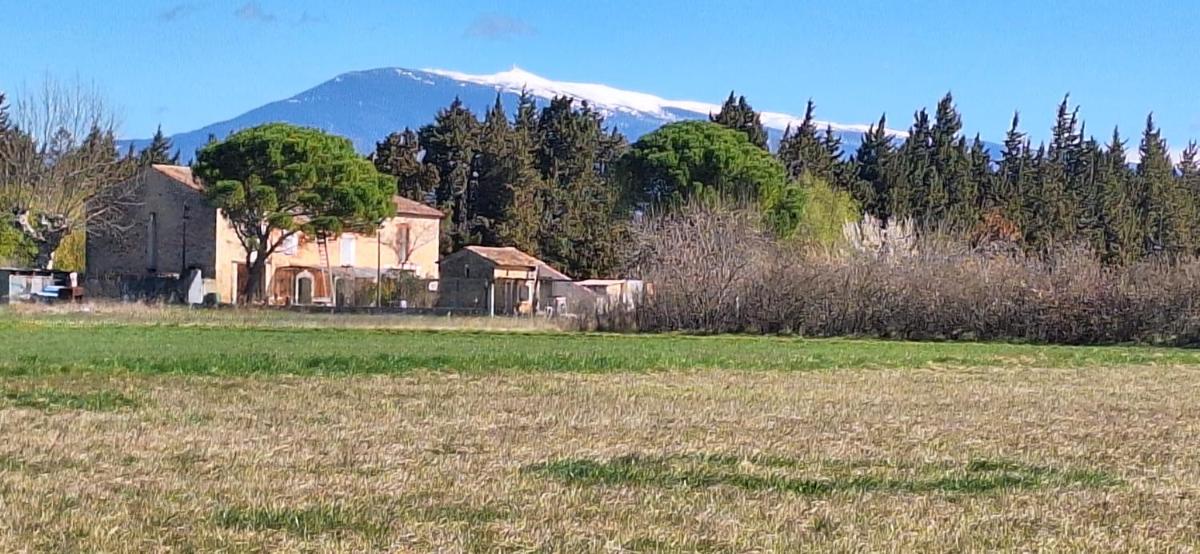 Gîte Mas de la Restanque - Housity