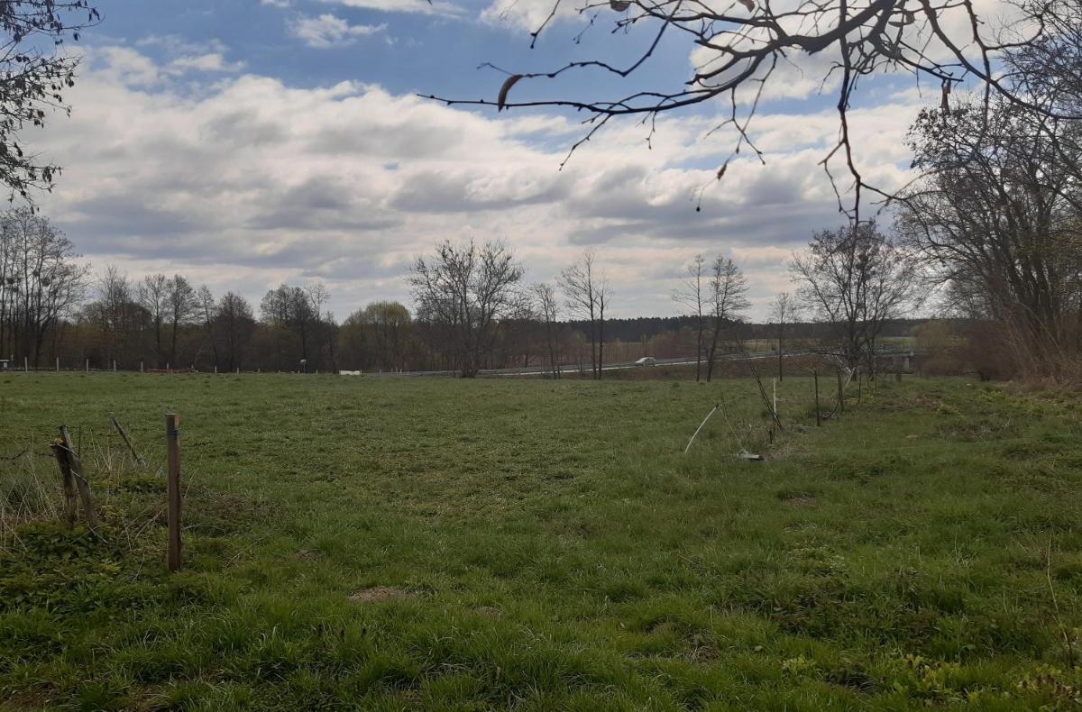 Pensjonat Lipowy Dworek - Housity