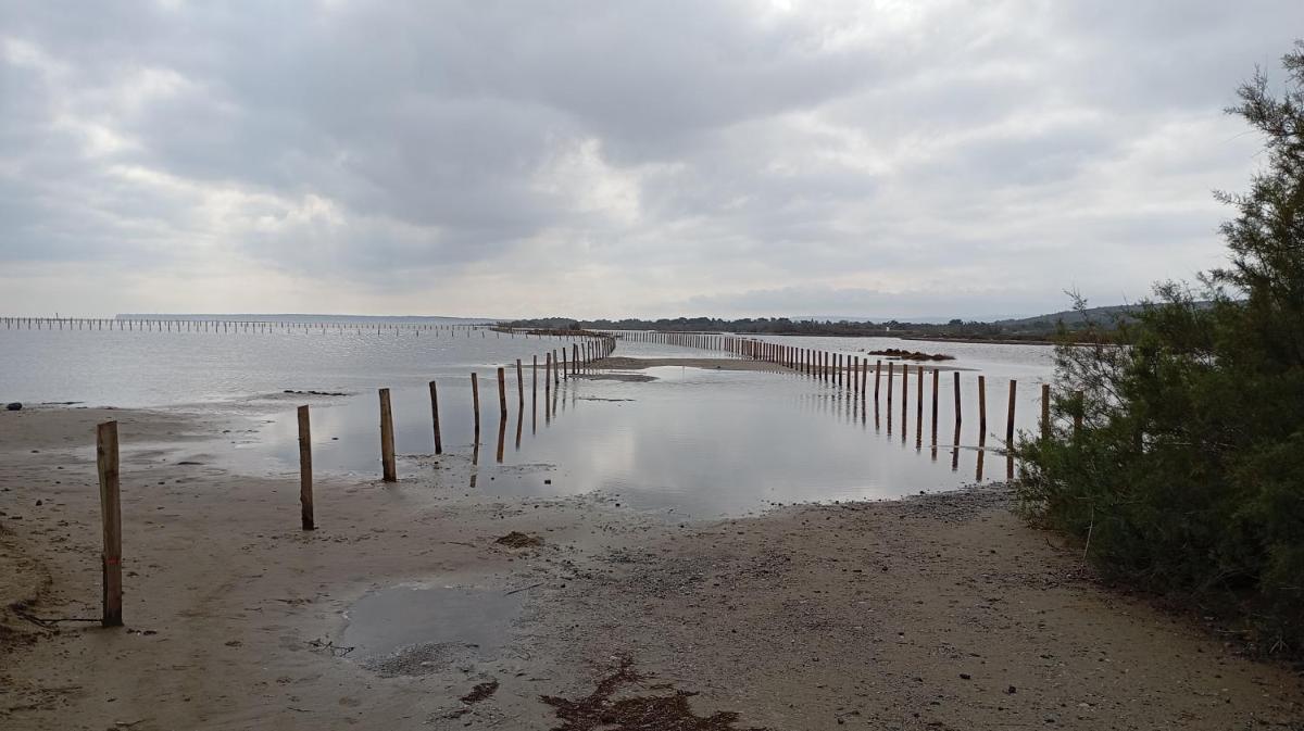 Studio Plage 200m Parking gratuit Port la Nouvelle - Housity