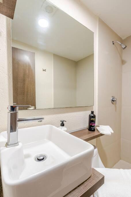 Mexico City MondoMexico Deluxe apartments - Housity