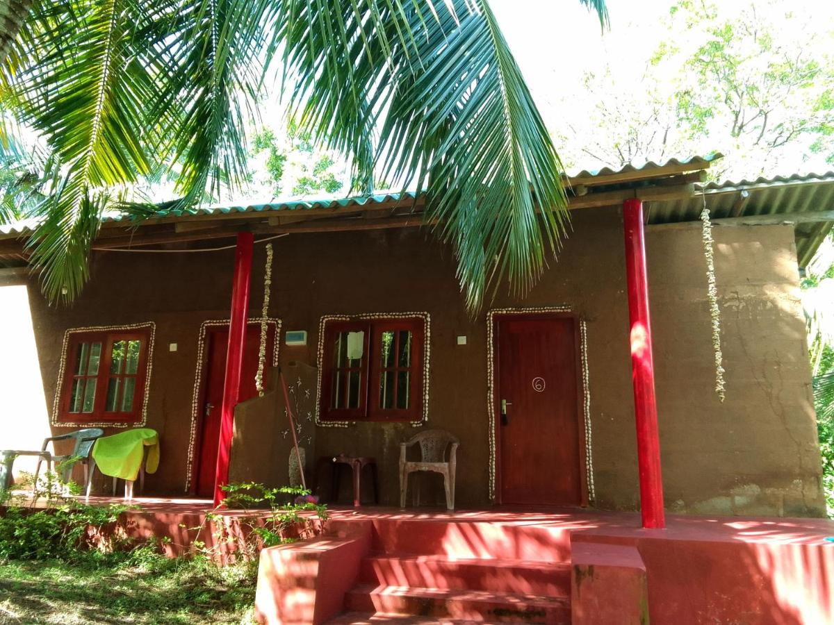 Peacock Family Stay - Housity