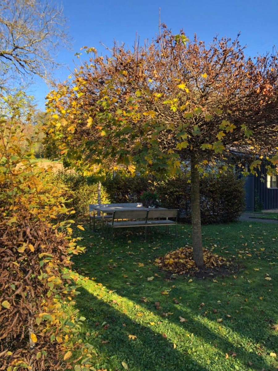Stilvolle Wohnung für 2-3 Personen - mit riesiger Dachterrasse - Housity