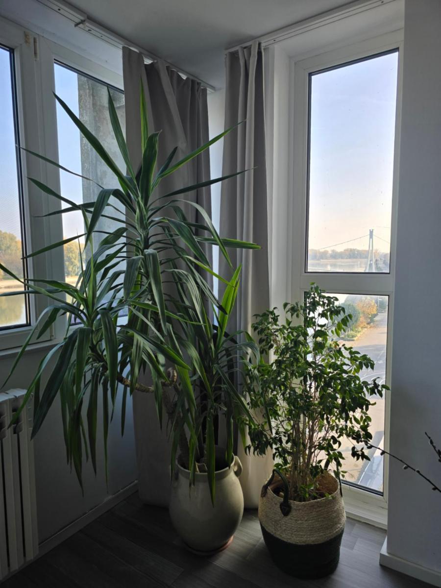 RiverView apartment - Housity