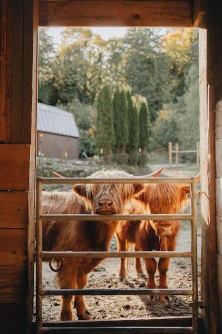Highland Farms - Your Private Forest Farm - Housity