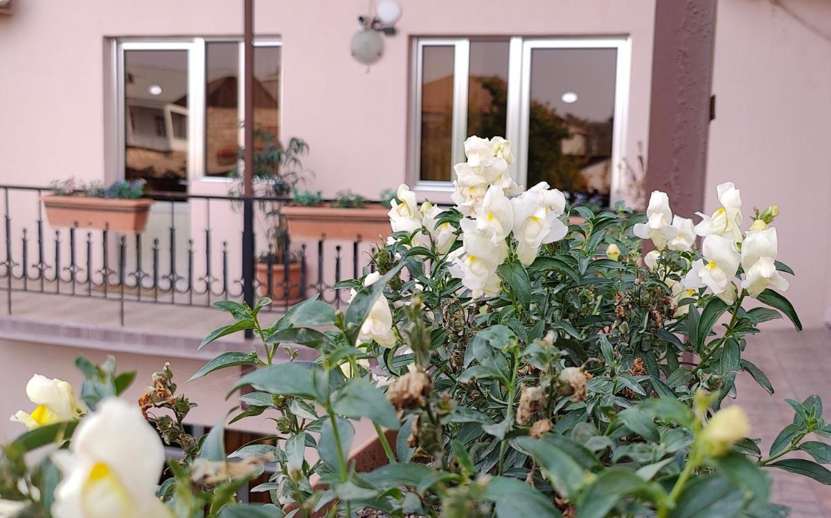 Areg Hotel - Housity