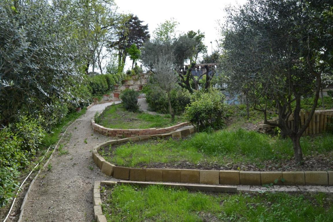 Civettina - Housity