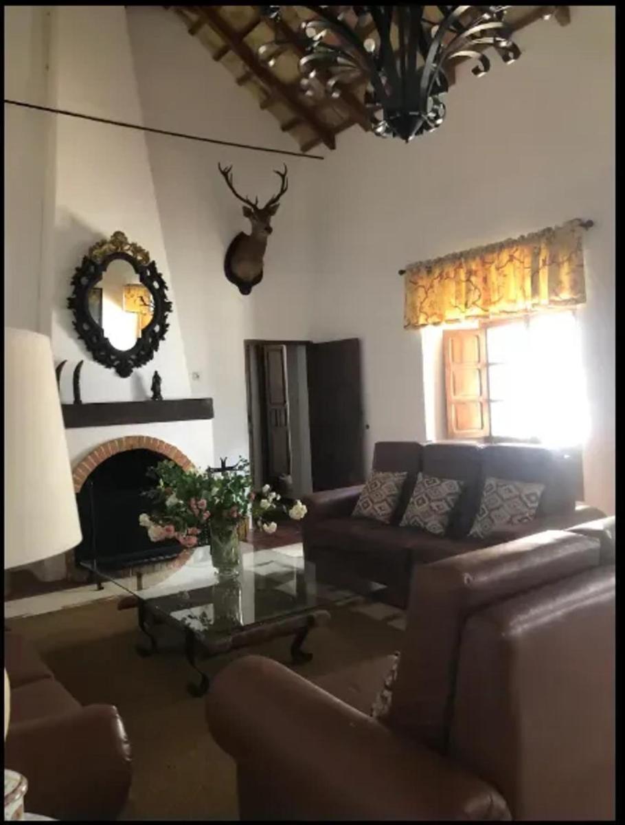 Luxurious Villa in Córdoba + Pool - Housity