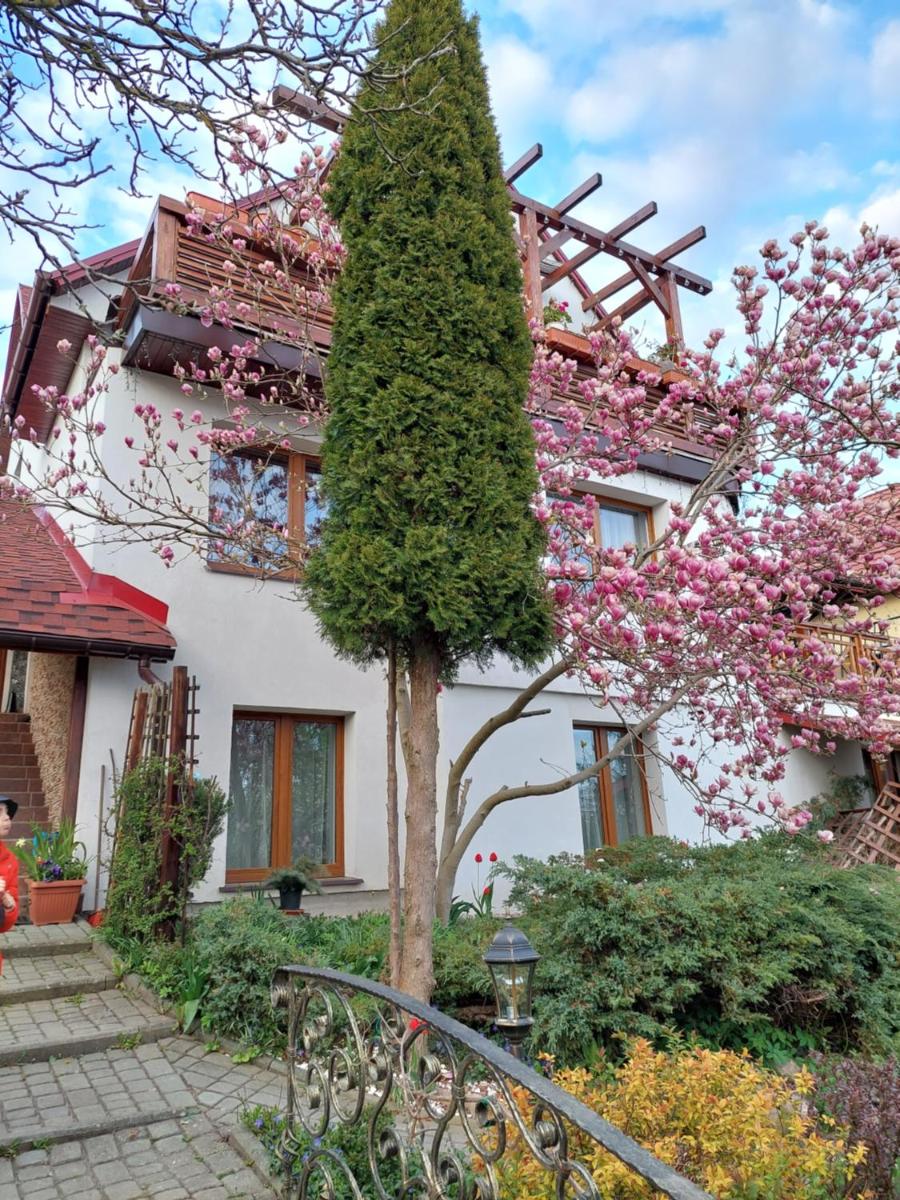 Zakątek nad jeziorem Ełk - Housity
