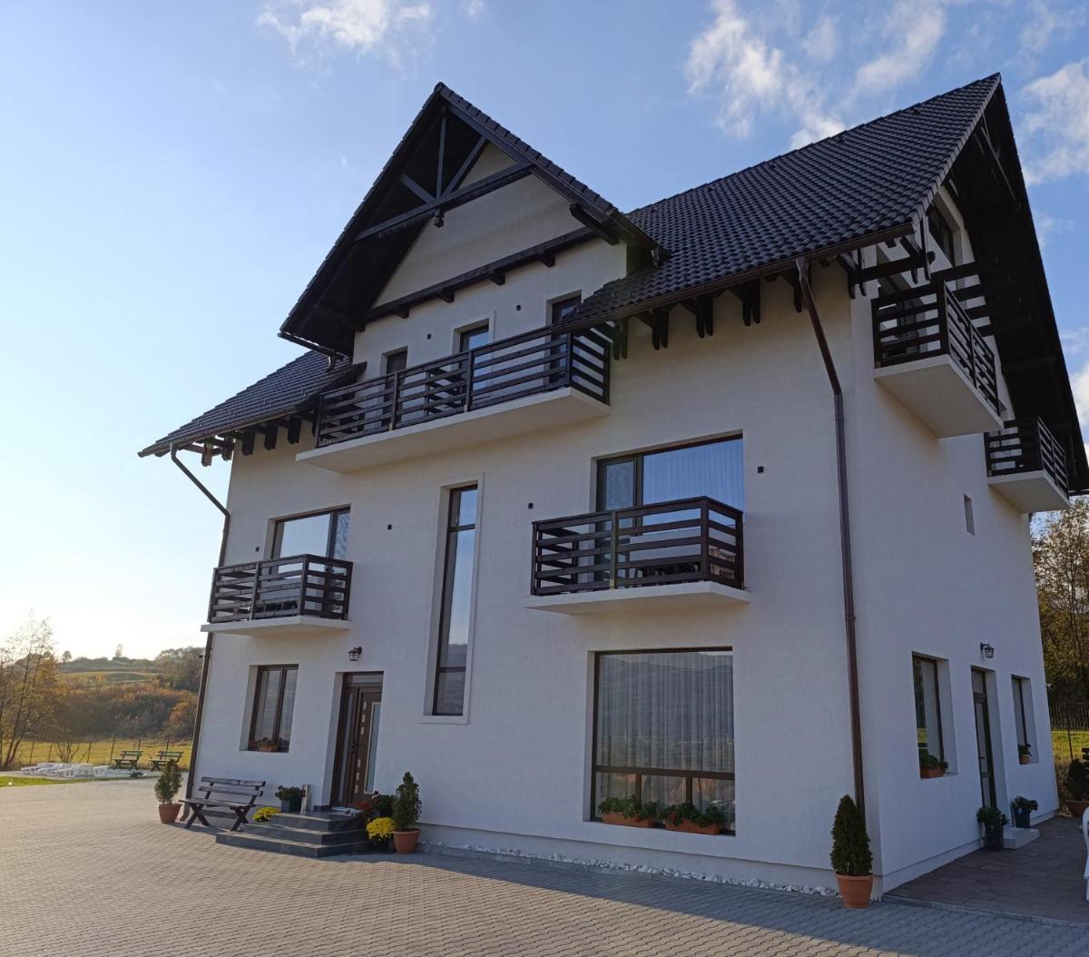 Vila President Sovata - Housity