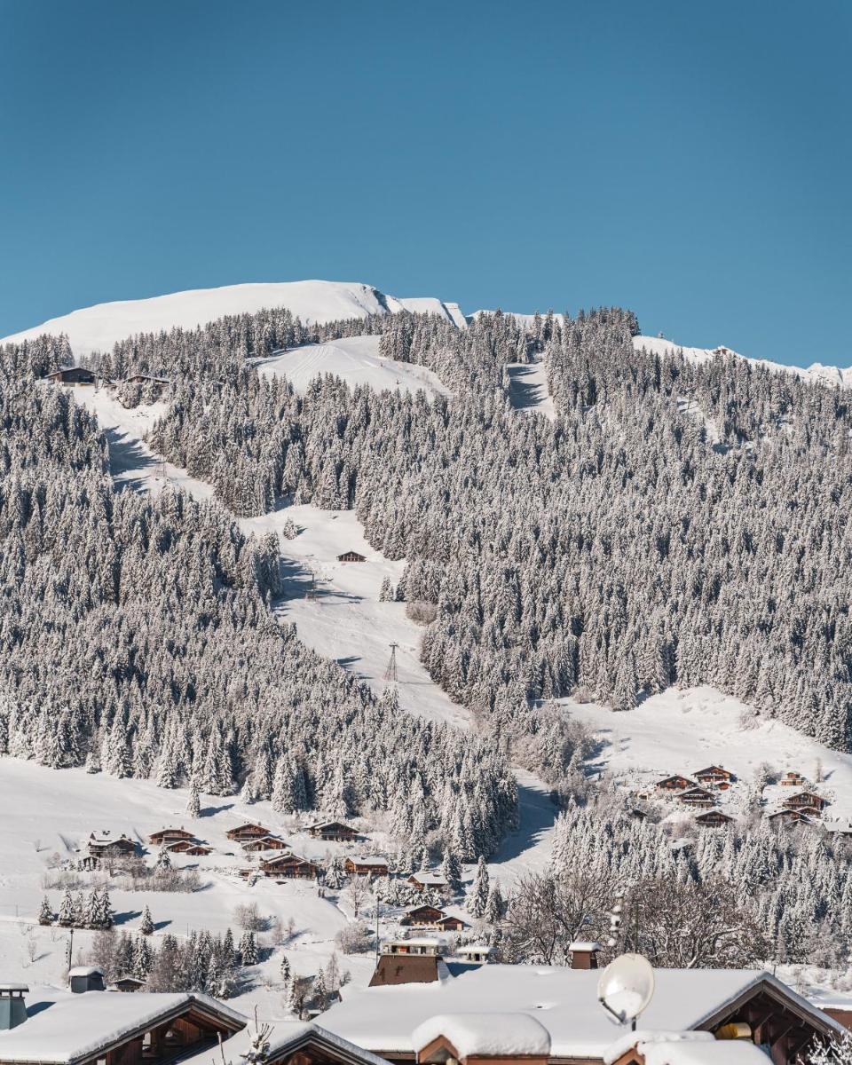 Vue générale sur la montagne ou vue sur la montagne depuis l'hôtel