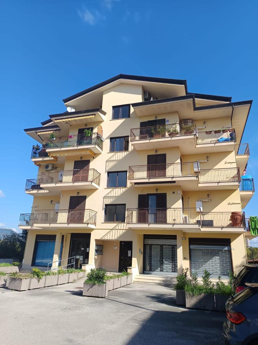 Interamna Dreams - Housity