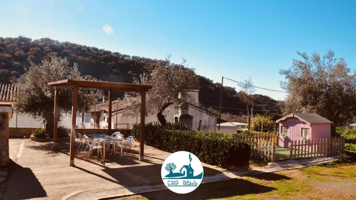 Casa Octavio - Housity