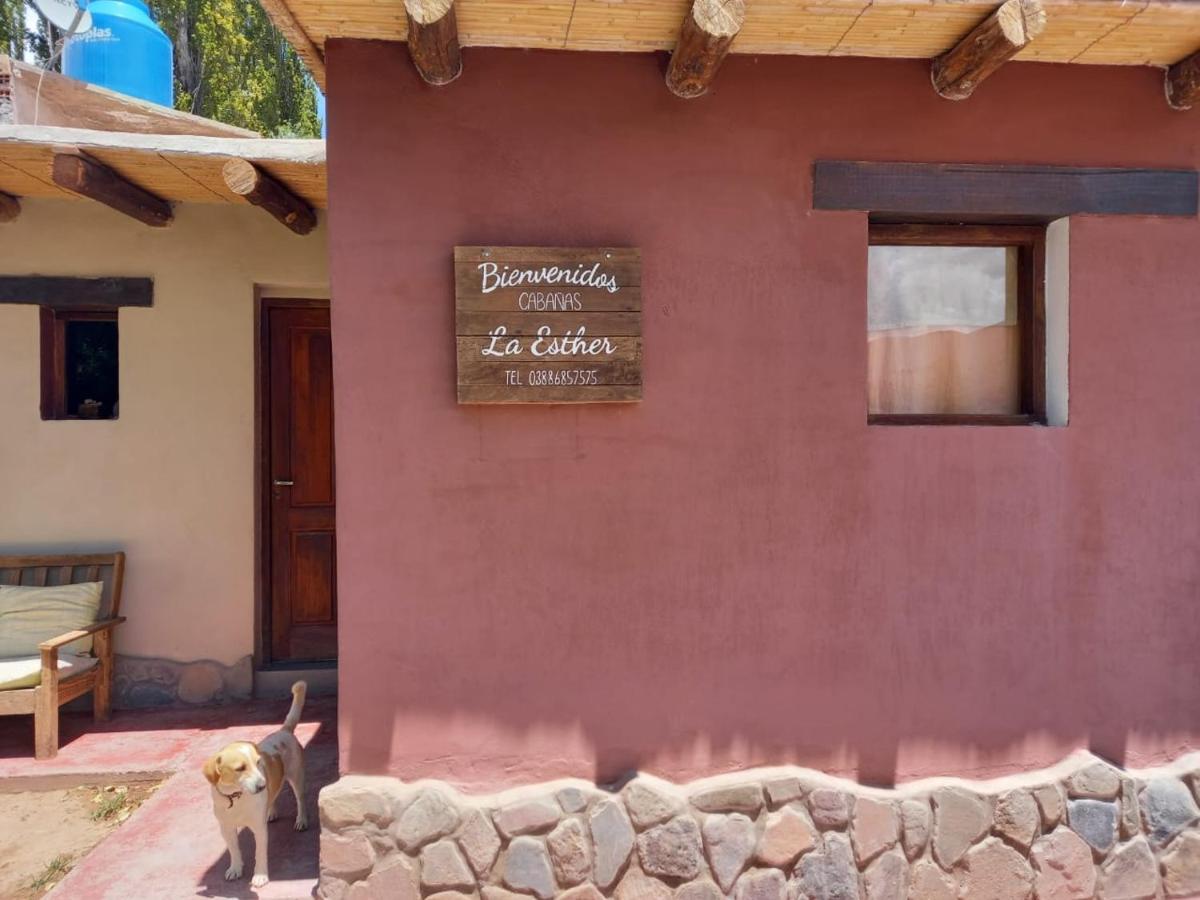 Cabañas La Esther Tilcara - Housity