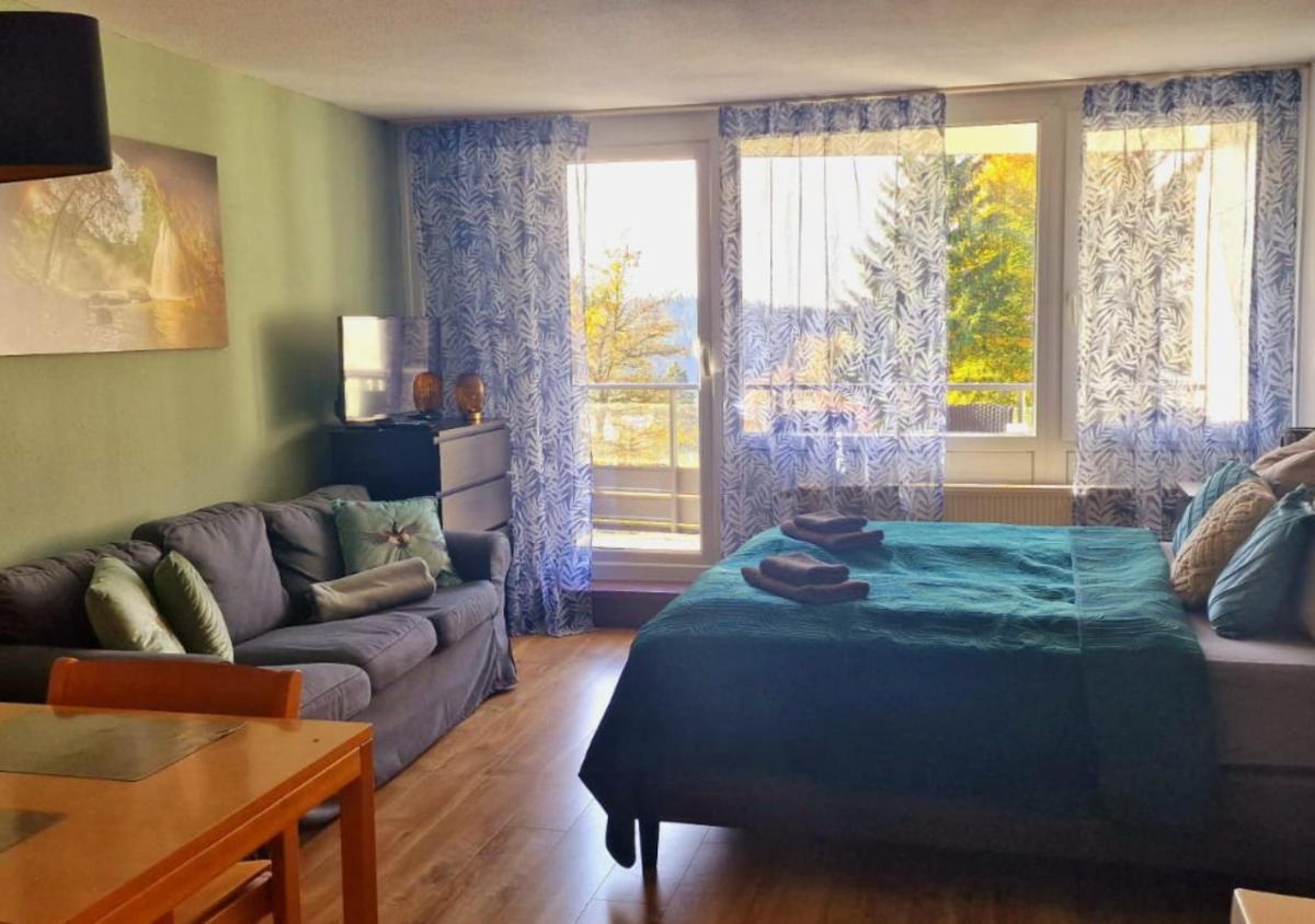 Wald Apartments im Predigtstuhl Resort - Housity