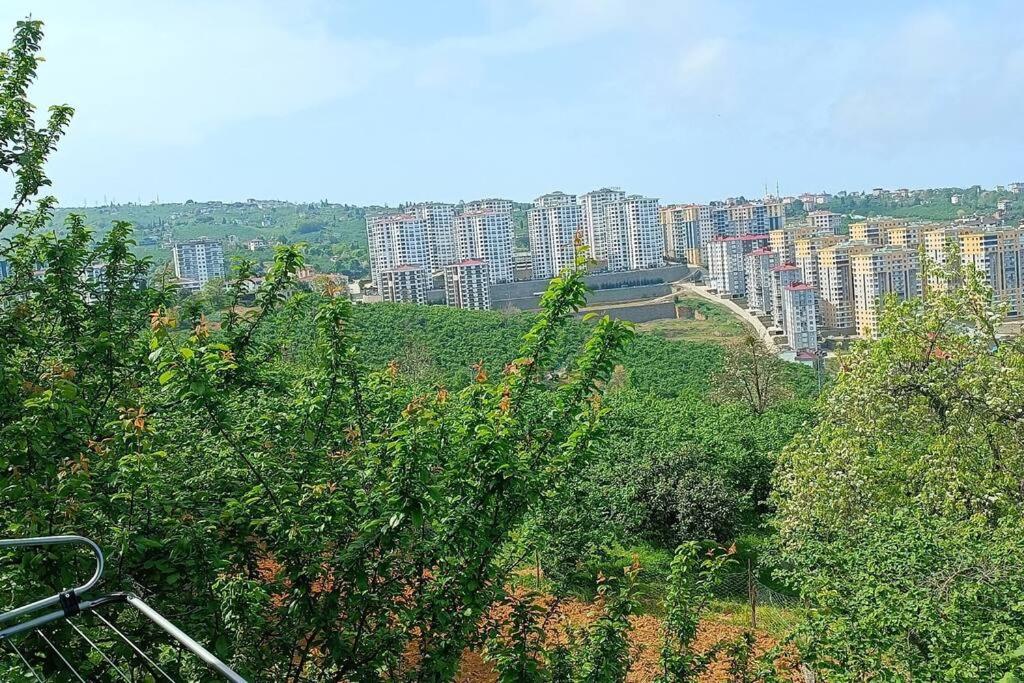 KAŞÜSTÜ BUNGALoV - Housity