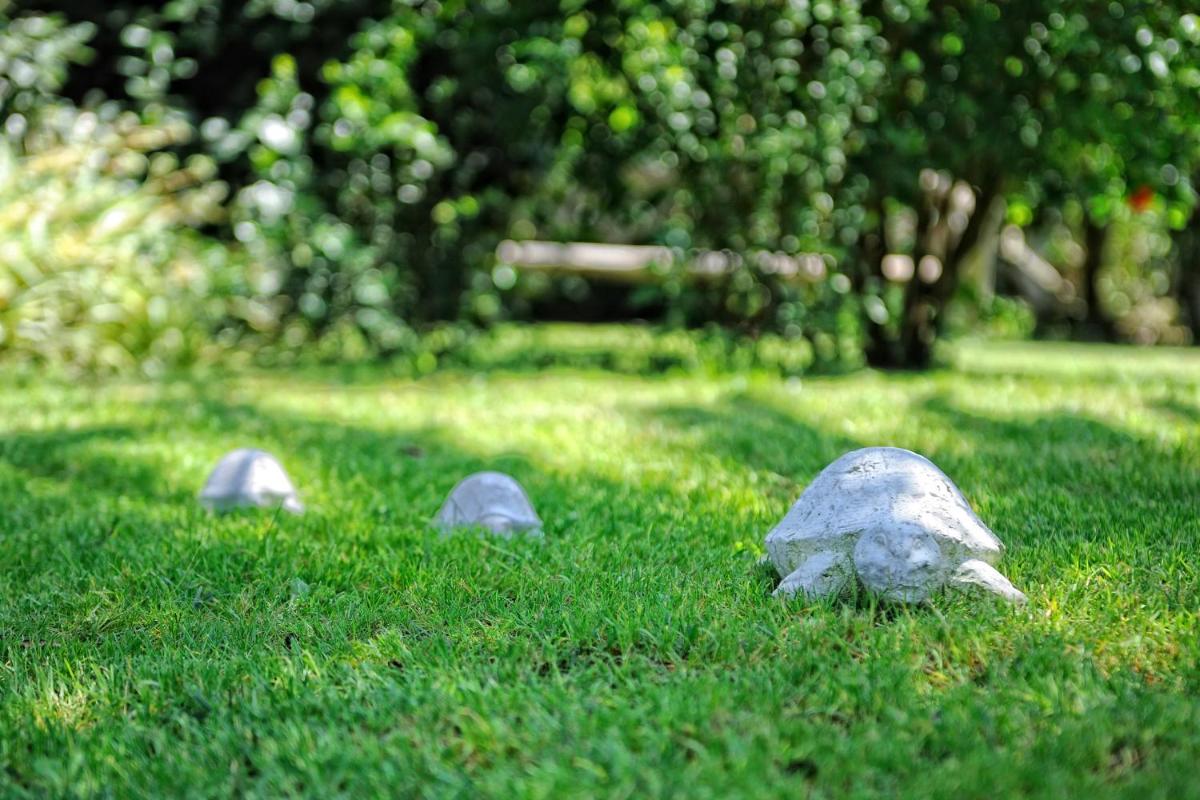 Jardin de l'établissement Lodge de Charme A Cheda